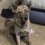 Profile Picture of Justin Biggers (@biggers.justin) on Instagram