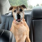 Profile Picture of Deborah Michelle Castro Garcia (@aprilful1976) on Instagram