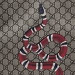 Profile Picture of Isaac Rogers (@king._.isaac123) on Instagram