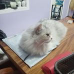 Profile Picture of Michael Von Possel (@Michael-Von-Possel) on Facebook