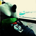 Profile Picture of Panda Bread (@panda__bread) on Flickr