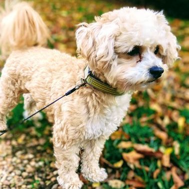 Kaitlin Watson - Twitter Profile Picture of Kaitlin Watson (@Kaitlin91539397) on Twitter