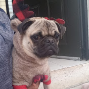 Profile Picture of Alejandro Guel (@AlejandroGuel-s5x) on Youtube