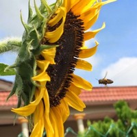 Derrick Gan - Quora Profile Picture of Derrick Gan (@derrick-gan-1) on Quora