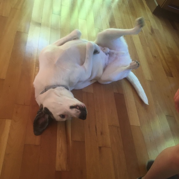 Profile Picture of Brynn Adner (@badner) on Poshmark