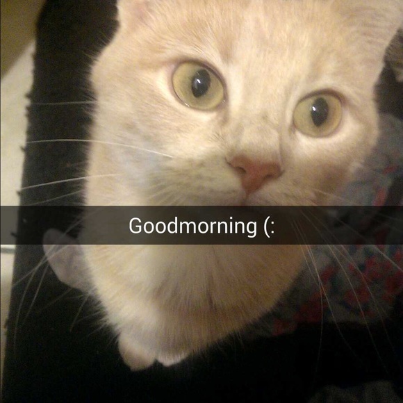 Profile Picture of Jon Hernandez (@rundown11) on Poshmark