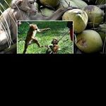 Profile Picture of aaronrolland (@aaronrolland) on Instagram