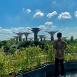 Profile Picture of Andrew Dizon (@anderewee) on Instagram