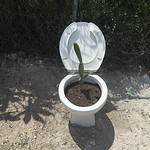 Profile Picture of Mike Ferguson (@mikeferguson1) on Flickr