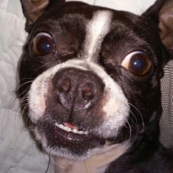 Profile Picture of Danielle Barker (@danib00169) on Poshmark