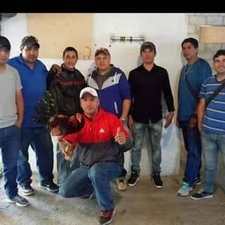 Profile Picture of Daniel Zambrano (@Daniel-Zambrano) on Facebook