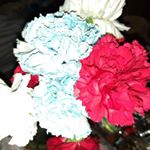 Profile Picture of Shawn Ostrander (@sostrander17) on Instagram