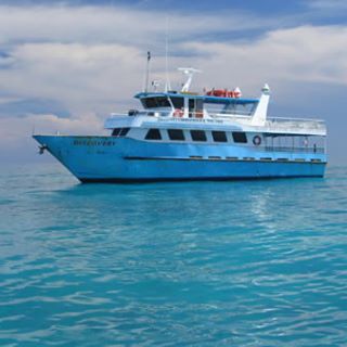 Merrill Fox - Facebook Profile Picture of Merrill Fox (@merrill.fox.399) on Facebook