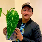 Profile Picture of Orchid Wanderer (@orchidwanderer) on Youtube