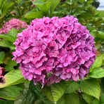 Profile Picture of Michelle Robic (@Michelle-Robic) on Facebook