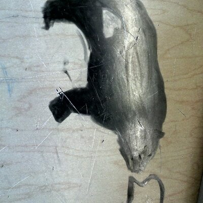 Michael  Garzon - Twitter Profile Picture of Michael  Garzon (@michaelgarzon) on Twitter