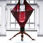 Profile Picture of StEp Hanie (@stephaniedoeringaerialyoga) on Instagram