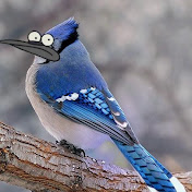 Profile Picture of Toua (@Anonyminus371) on Youtube