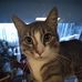 Profile Picture of Alex Skaggs (@alex.skaggs.35) on Facebook
