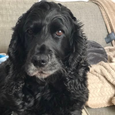 Profile Picture of James Hearne (@jameshearne6) on Twitter