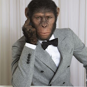 Profile Picture of Nathan Bacon (@nathanbacon1591) on Youtube