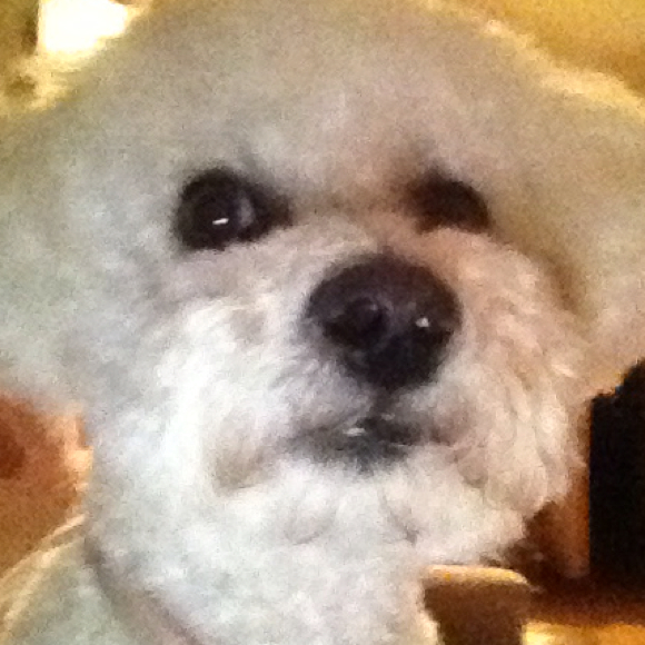 Profile Picture of Linda Rostad (@linderprostad) on Poshmark