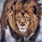 Profile Picture of Clayton Bryce Leach (@claytonbryceleach) on Instagram