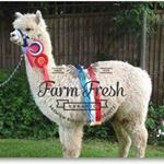 Profile Picture of Isabel Choi (@isabel.choi.714) on Instagram