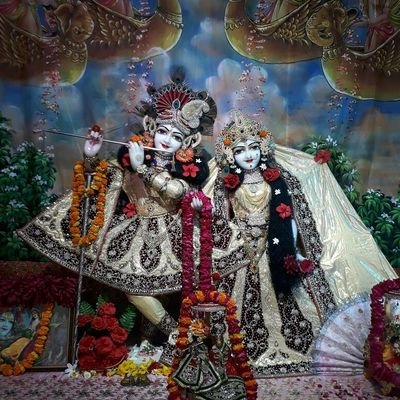 Daniel Bellon - Twitter Profile Picture of Daniel Bellon (@bellon_daniel) on Twitter