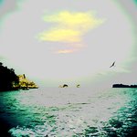 Profile Picture of Todd Bentley (@bentleytodd78eb) on Instagram