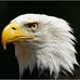 Profile Picture of Peter Hoffman (@peter.hoffman.35325) on Facebook