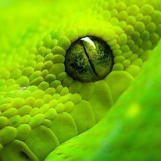 Profile Picture of Zachary Crise (@Zachary-Crise) on Facebook