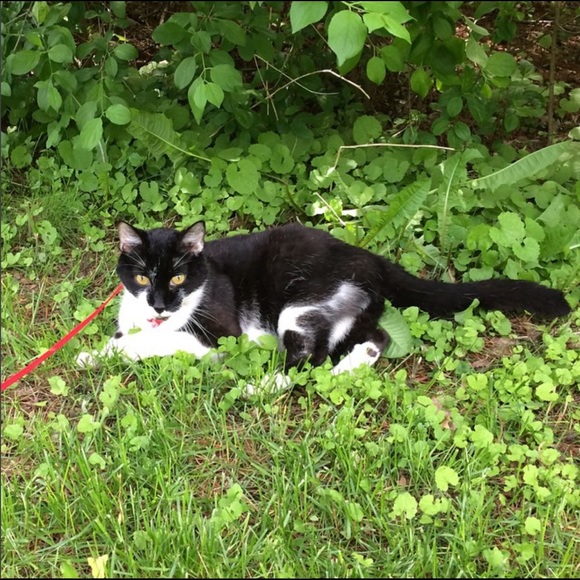 Hailley Loukopoulos - Poshmark Profile Picture of Hailley Loukopoulos (@hails622) on Poshmark