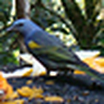 Profile Picture of Raphael A. (@raphael a.) on Flickr