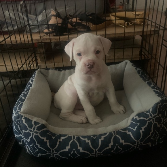 Profile Picture of Mia Patton (@mia_patton) on Poshmark