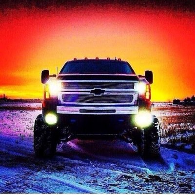 Profile Picture of Grady (@grady_bowen) on Twitter