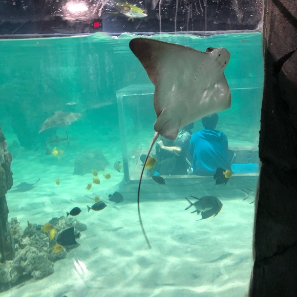 Brianna Deaner - Poshmark Profile Picture of Brianna Deaner (@bddeaner148) on Poshmark