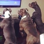 Profile Picture of Michael Bratcher (@bratcher_michael) on Instagram