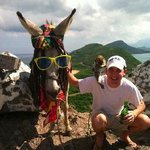 Profile Picture of shaneen blevins (@shaneenblevins) on Instagram