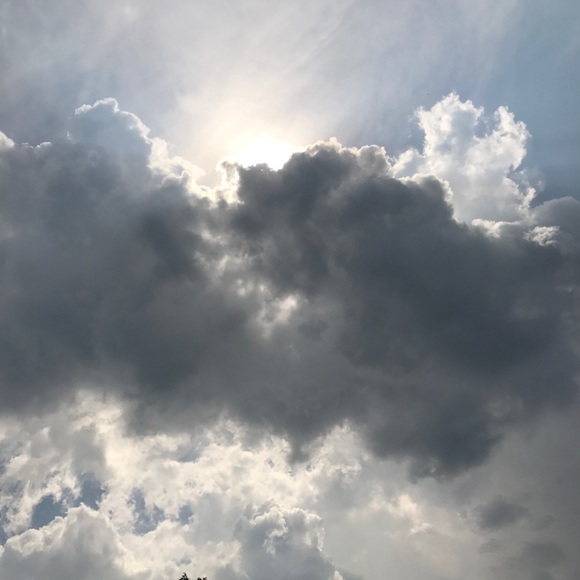 Profile Picture of Paula Maxwell (@paulamaxwell1) on Poshmark