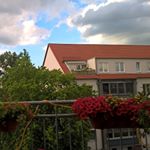 Profile Picture of Marcus Zapf (@marcuszapf) on Instagram