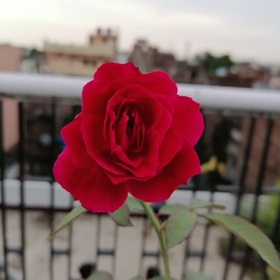 Profile Picture of Avinash Kumar (@avi22avi) on Twitter