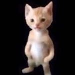 Profile Picture of drew mann (@drew.hs) on Instagram