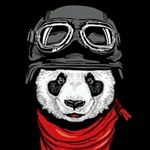 Profile Picture of Kyle Saxton (@thewatermelon79) on Instagram