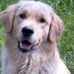 Profile Picture of Michael Schramek (@michael.schramek.90) on Facebook