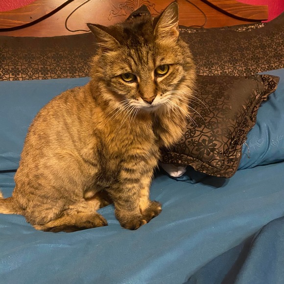 Jacqueline Clements - Poshmark Profile Picture of Jacqueline Clements (@jackie8189131) on Poshmark