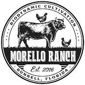 Profile Picture of Jason Morello (@MorelloRanch) on Youtube