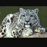 Profile Picture of Jonathan Wardle (@jonwardle71) on Instagram