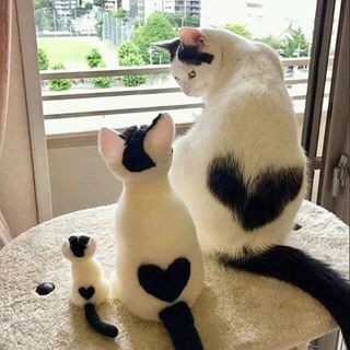 Profile Picture of Aftab Mirza (@aftab.mirza.1804109) on Facebook