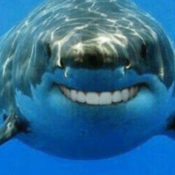 Profile Picture of Sydney Pineault (@peanut396) on Poshmark